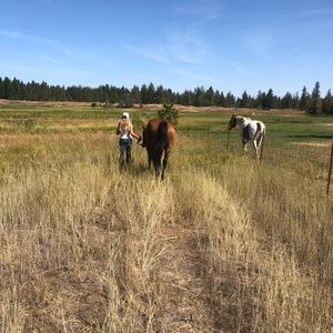 Meet your Posher, Emily
